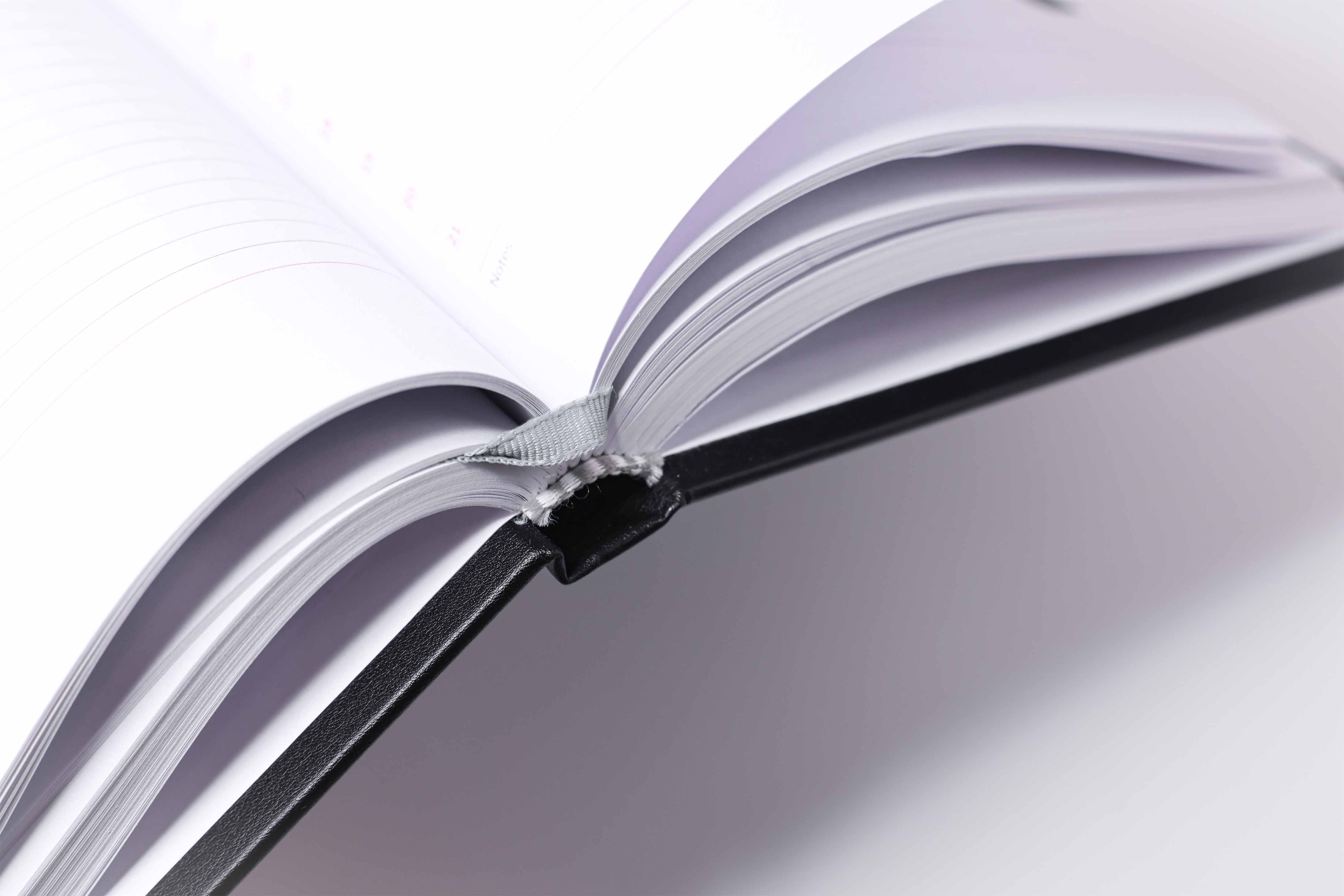 diary planner details