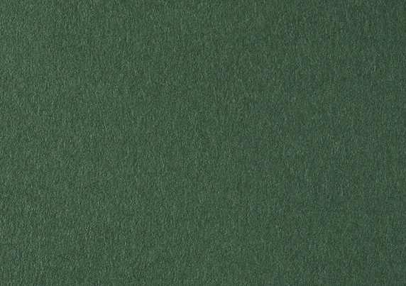 COLORPLAN FOREST 2-25-5548