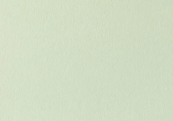 COLORPLAN PISTACHIO 2-25-5532