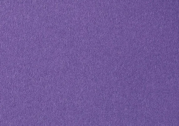 COLORPLAN PURPLE 2-25-5558