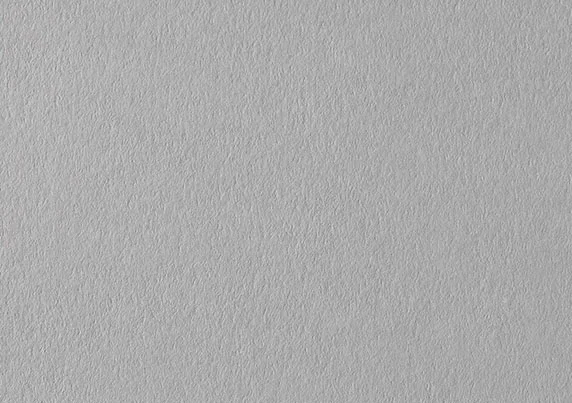 COLORPLAN REAL GREY 2-25-5527