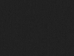 CSE4420 BLACK