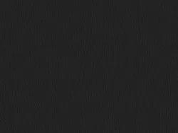 CSE4421 BLACK