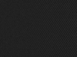 CSE4424 BLACK