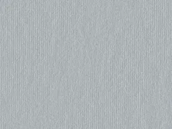 CSE4501 SILVER