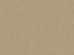 CSE4502 WHITE GOLD
