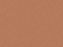 CSE4592 COPPER