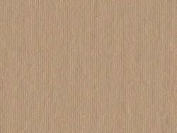 CSE4593 ROSE GOLD