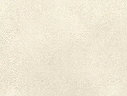 NAB8913 BLANC (OFF-WHITE)