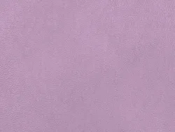 NAB8929 ROSE