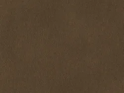 NAB8972 MARRON DORÉ