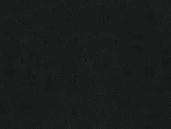 NAPR6977 NOIR