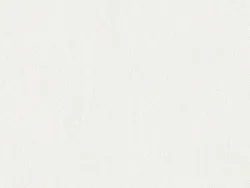 NAPR6978 NEIGE