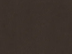 NAPR6980 EBÈNE