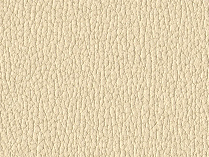 NAS1213 flat plane.jpg.700x525 q80 autocrop crop smart zoom 100 1