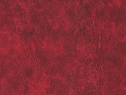 NOE12174 RED