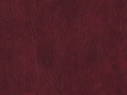 NOE12175 BURGUNDY