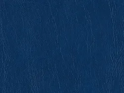 NOE12178 BLUE