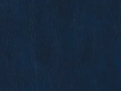 NOE12179 NAVY