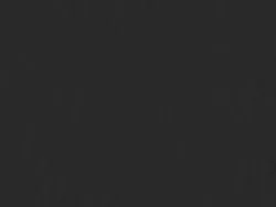 NON03900 BLACK