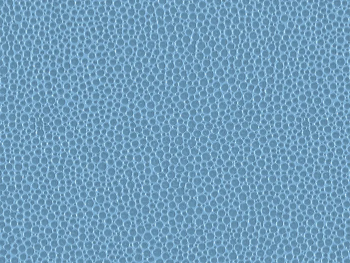 PEM9218 flat plane.jpg.700x525 q80 autocrop crop smart zoom 100 1