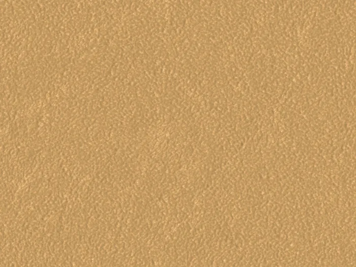 SKN1039 flat plane.jpg.700x525 q80 autocrop crop smart zoom 100 1