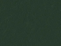 SKN107 FOREST