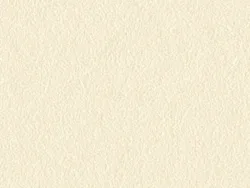 SKN299 IVORY