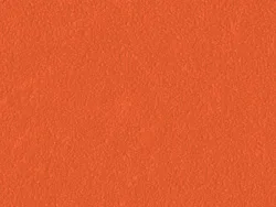 SKN321 CORAL