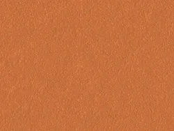 SKN874 TANGERINE