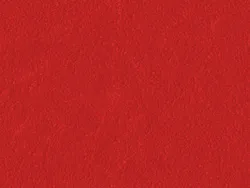 SKN939 TOMATO