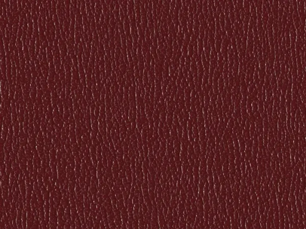 SXS5250 MAROON