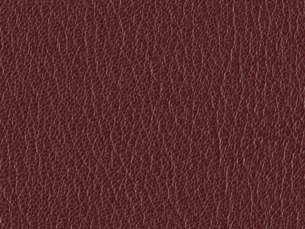 SXU5344 MAROON