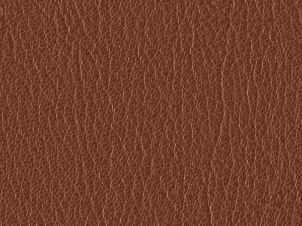SXU5348 BROWN