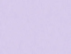 WBN562 LILAC