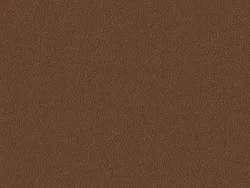 BUK8809 BRUN