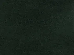 CHK27115 DARK GREEN
