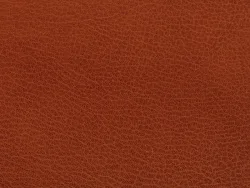 CHK27123 BROWN