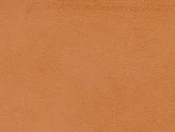 CHK27126 TAN