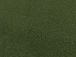 CHK27127 FOREST GREEN
