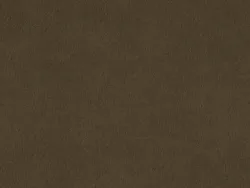 CHR7542 CAROUBE