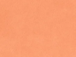CHR7559 SAUMON
