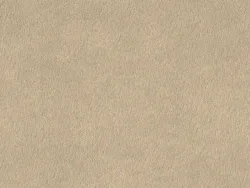 CHS7718 SAND