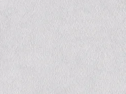 CHS7719 NEIGE