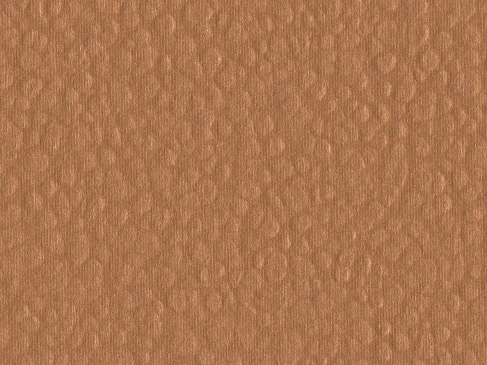 cmh64535 flat plane.jpg.700x525 q80 autocrop crop smart zoom 100 1