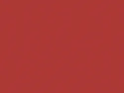 CPM2210 SIGNAL RED