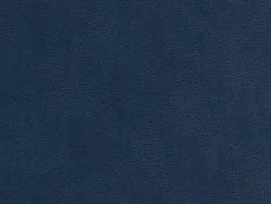 ECC15505 BLUE