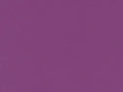 ECP14563 PURPLE