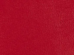 ECW16502 RED