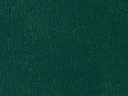 ECW16507 GREEN